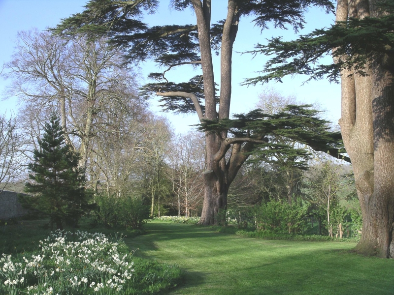 Sherborne Castle